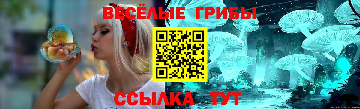 Псилоцибиновые грибы MAGIC MUSHROOMS  Галлюциногенные грибы Psilocybine cubensis  Всеволожск  Вход с VPN 